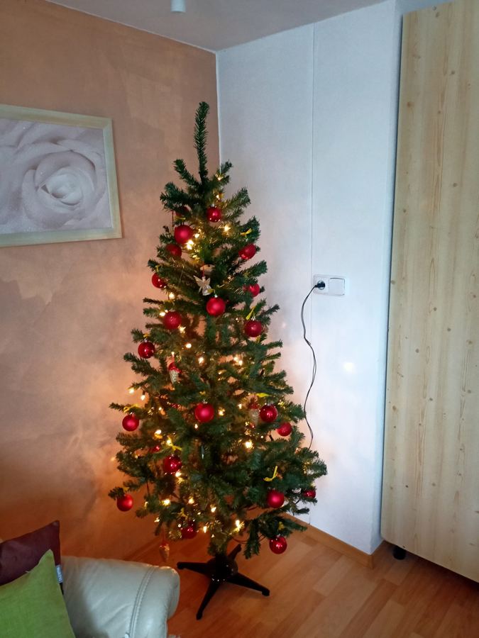Rozsvícený vánoční stromek v obývacím pokoji